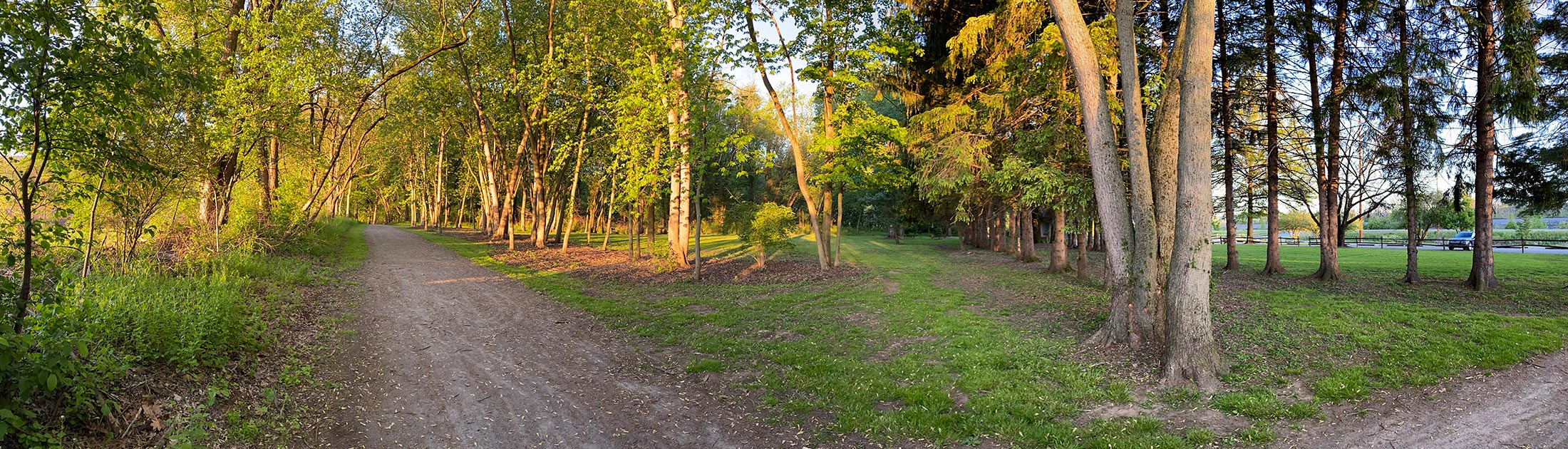 Canfield Island