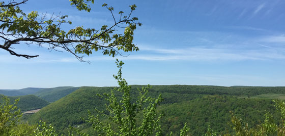 The view from Band Rock Vista